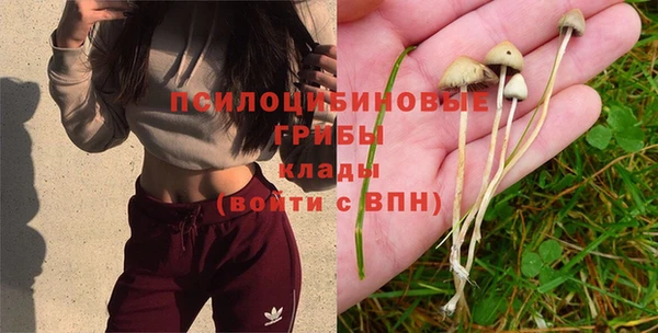 таблы Новозыбков